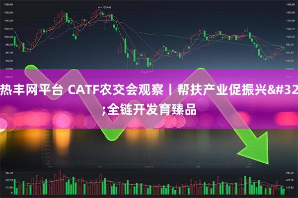 热丰网平台 CATF农交会观察丨帮扶产业促振兴&#32;全链开发育臻品