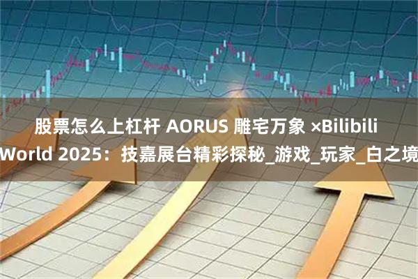 股票怎么上杠杆 AORUS 雕宅万象 ×Bilibili World 2025:技嘉展台精彩探秘_游戏_玩家_白之境