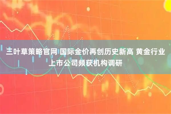 三叶草策略官网 国际金价再创历史新高 黄金行业上市公司频获机构调研